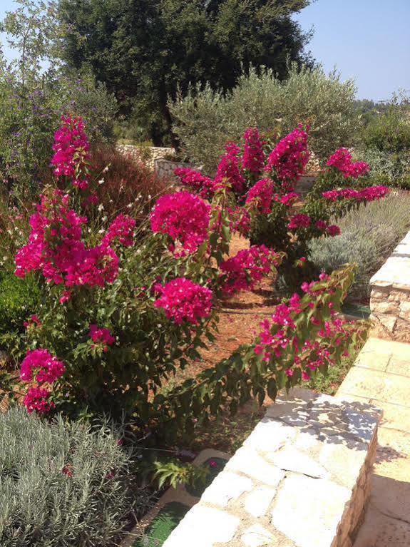 Korallis Villas Livathos  Esterno foto