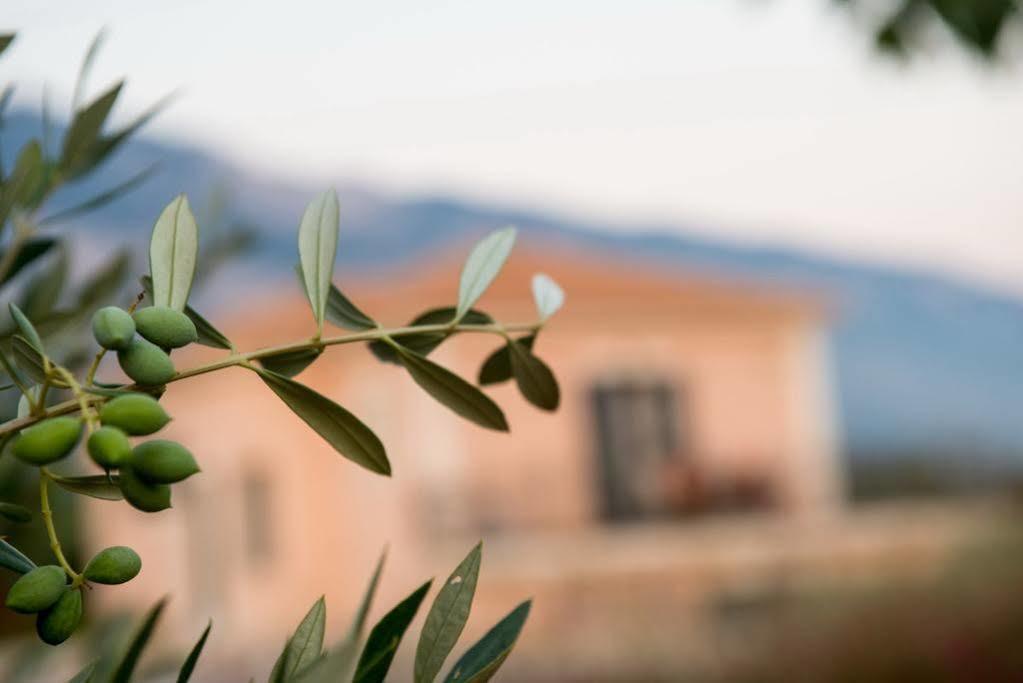 Korallis Villas Livathos  Esterno foto